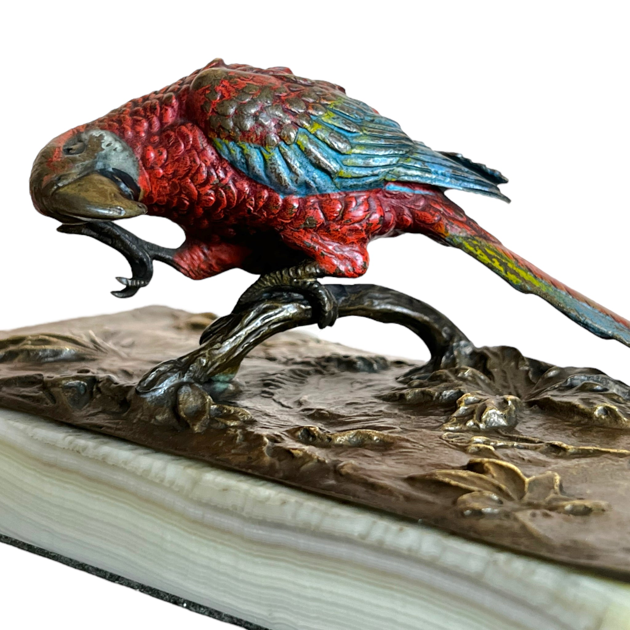 Table Top
Sculpture
sculptural
Plumes
parrot
metallic
Metalic
Metal
marble
living room
Living
Home
hand painted
gift idea
Decor
Colorful
Bronze
birds
bird
Austrian