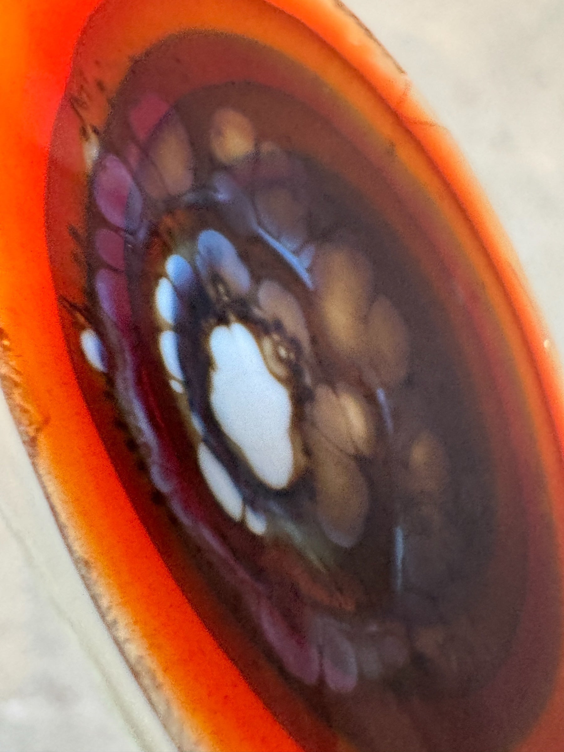 vintage ashtray austin
vintage ashtray
Table Top
Murano Millefiori Glass Dish
Murano Glass Ashtray
murano catch all
murano bowl austin
murano bowl
murano austin
murano ashtray
Murano
Millefiori Bullicante style
Italian glass
italian
Hand-blown Murano Glass Ashtray – Organic Modernism
Hand-blown Murano Glass Ashtray
art glass vintage austin