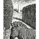 zebra
William Kelly Fearing
wall art
print
home
etching
black and white
artist proof
Art for All
art
animals
1990s
Art
art under 1000
framed
safari
american