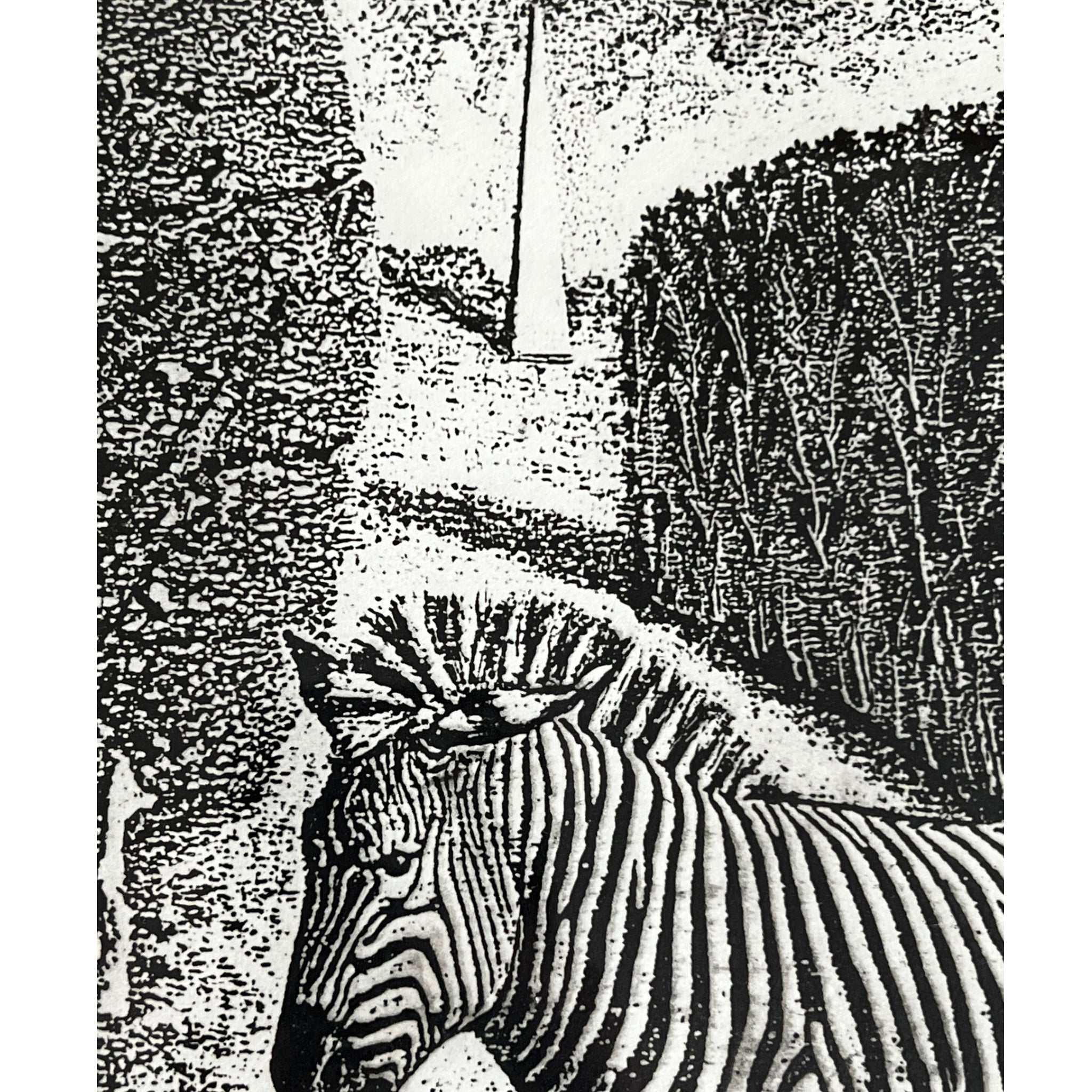 zebra
William Kelly Fearing
wall art
print
home
etching
black and white
artist proof
Art for All
art
animals
1990s
Art
art under 1000
framed
safari
american