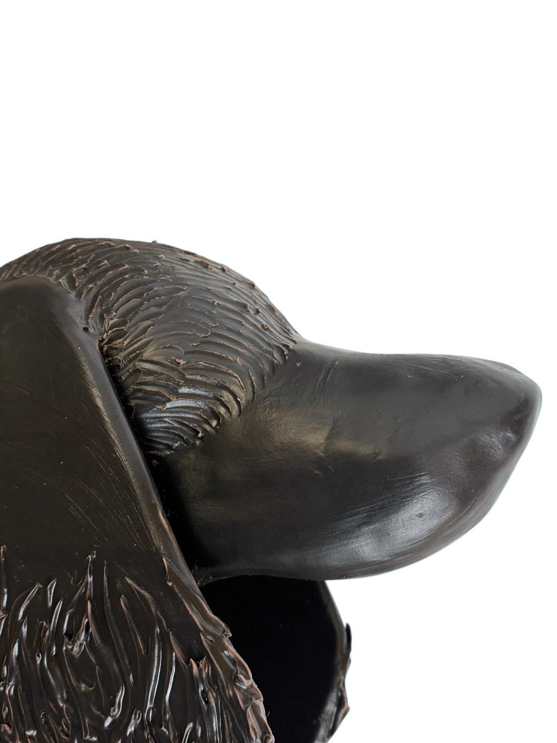 A dark, chocolate-brown ceramic sculpture by Enza Fasano depicting the stylized head of a hunting dog, such as a pointer or hound. The piece features a smooth, elongated snout and large, floppy ears with a textured, feathery finish that contrasts with the sleek crown of the head. The minimalist design emphasizes the dog's elegant profile and long neck.
