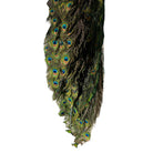 Vintage
vibrant
taxidermy
Sculpture
sculptural
Plumes
peacock taxidermy
peacock
mounted
male
living room
Large art
iridescence
Home
feathers
decorative
charming
Brass
Boho
bohemian
blue and green
Blue
birds
bird
Art