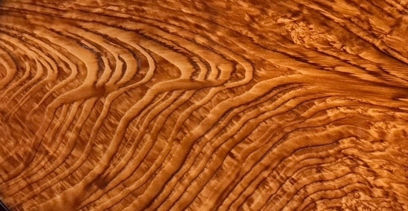 An ornate Art Deco serving tray featuring a highly figured burlwood center and silver-plated handles and rim