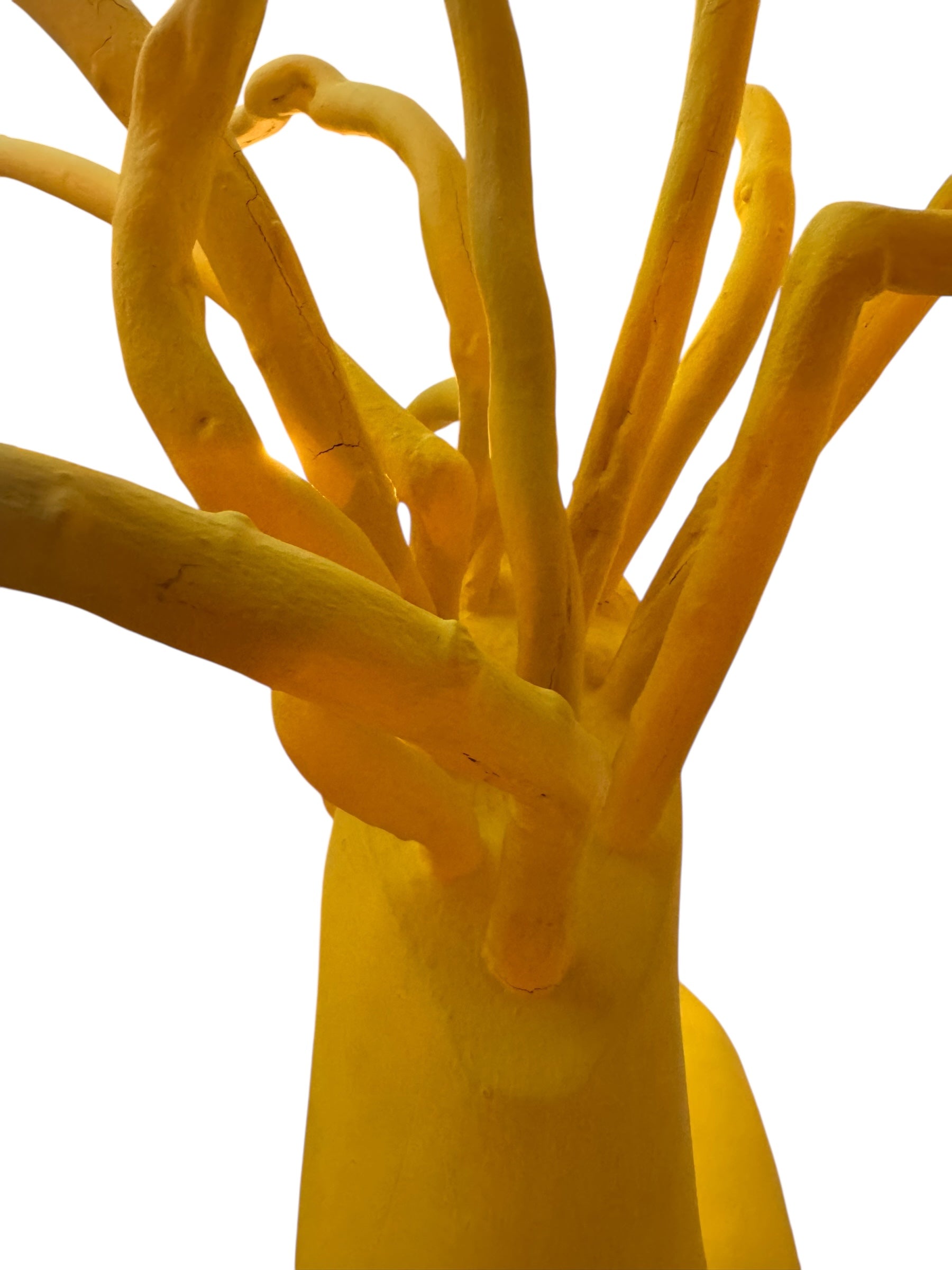 A bright yellow abstract sculpture depicting a calamari with a thick base and several thin, curving, branch-like extensions.