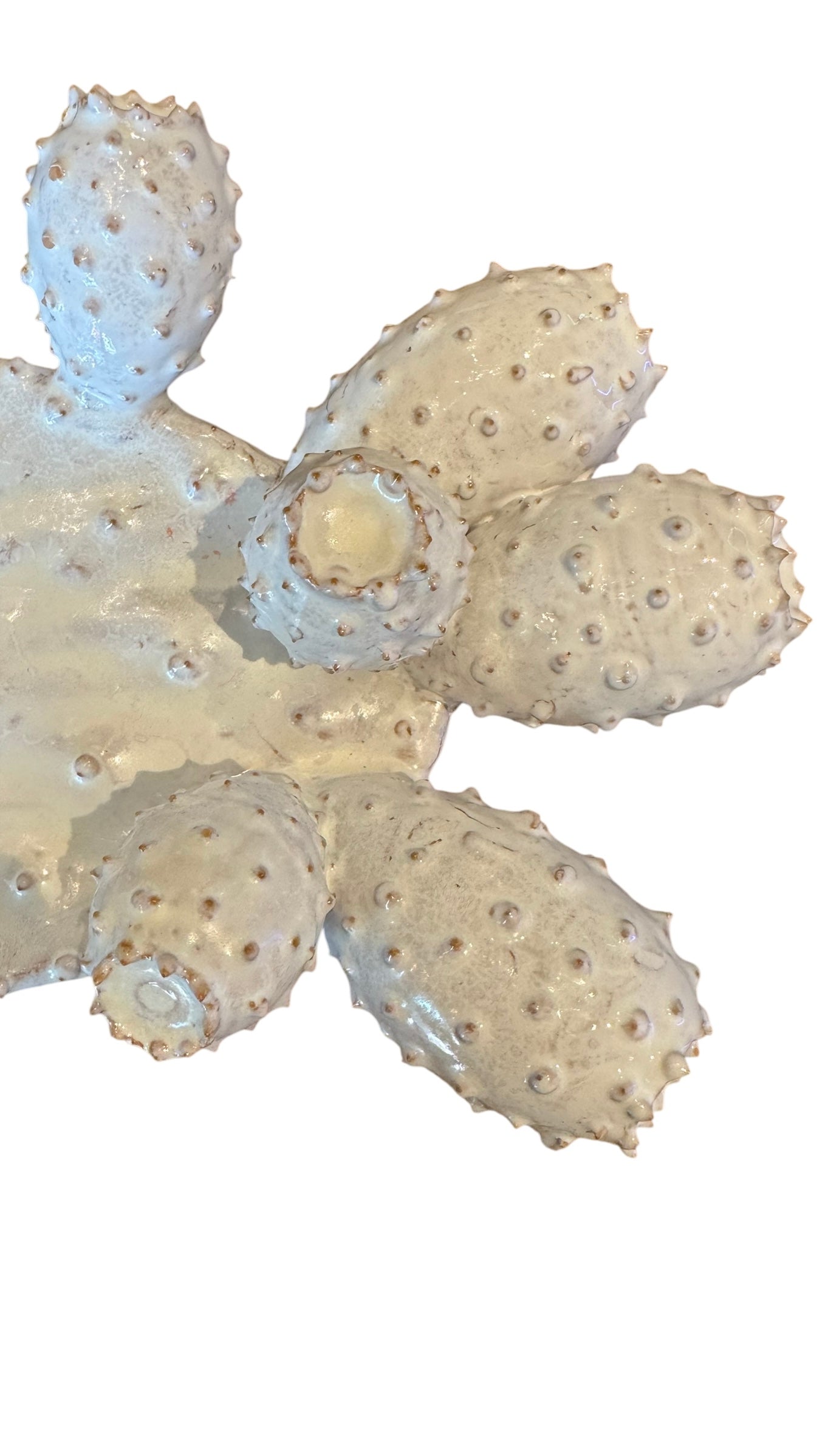 A white glazed ceramic platter in the shape of a prickly pear cactus pad with attached prickly pear fruit. The surface has raised dots representing spines
