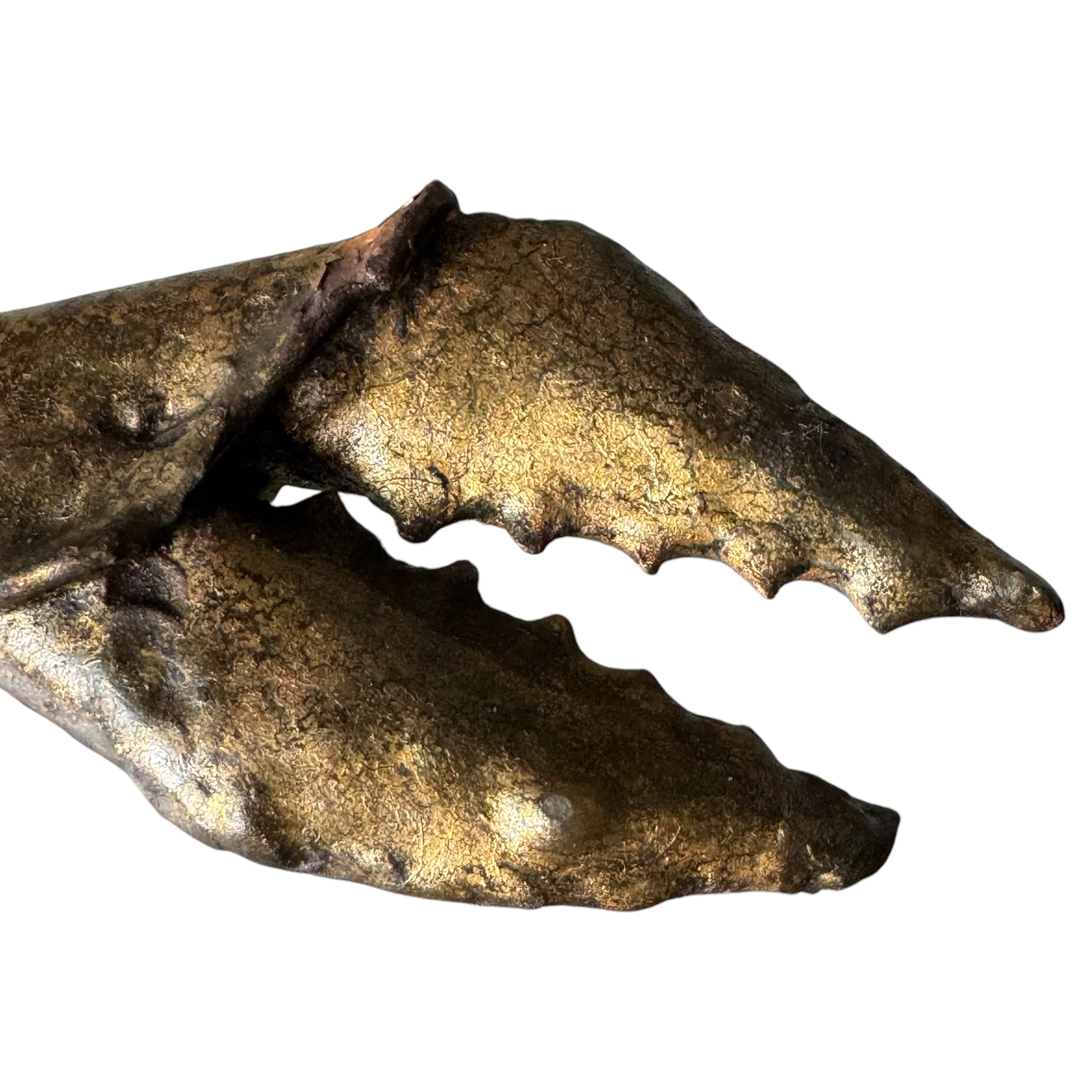 Table Top
steel crab
sea creatures
Sculpture Attributed Daniël d'Haeseleer
Sculpture
sculptural
Metal
marine life
made of steel
Gilt-Metal Crab Sculpture Attributed Daniël d'Haeseleer
Gilt-Metal Crab Sculpture
gilt metal crab
gilt metal
Gilt
Daniël d'Haeseleer
crab sculpture austin
crab sculpture
crab
coastal
brutalist crab
Brutalist
Belgium