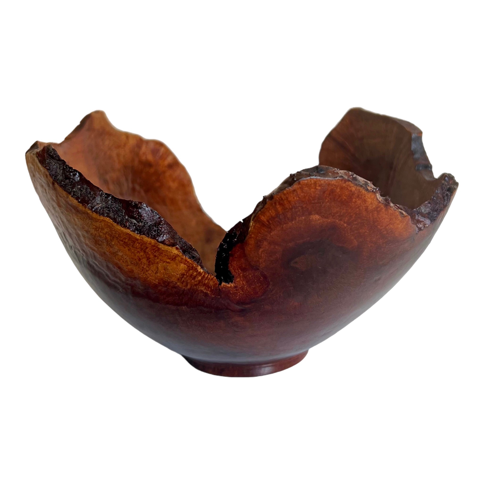 Wood
Table Top
serving bowl
organic
Kitchen
Home
gift idea
D.B. Pulley
burl wood
bowl
1980s
manzanita
Artisan
oregon