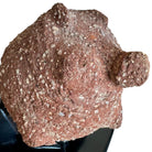 Ancient African terracotta head
African terracotta sculpture
200 BC to 900 AD African artifact
Prehistoric African ceramic art
Authentic African antiquity
West African terracotta figure
Tribal African head sculpture
Ancient African art for sale
African archaeological artifact
Early African civilization art