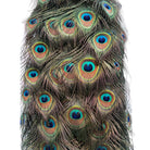 Vintage
vibrant
taxidermy
Sculpture
sculptural
Plumes
peacock taxidermy
peacock
mounted
male
living room
Large art
iridescence
Home
feathers
decorative
charming
Brass
Boho
bohemian
blue and green
Blue
birds
bird
Art