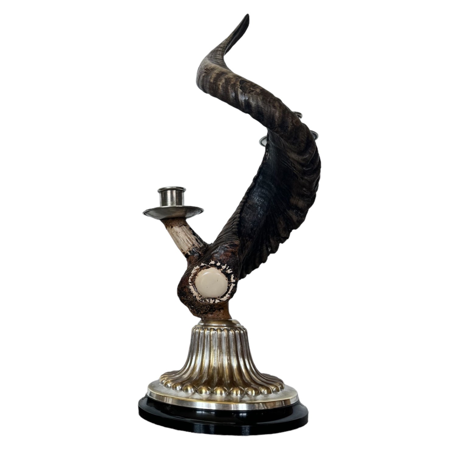 Vintage
tabletop
Table Top
ram horns
Mid century
Metal
J Anthony Redmile
Horns
hand crafted
faux horn
candlesticks
candleholder
candelabra
Bronze
Brass
Ram Horn Candlesticks in the manner of J. Anthony Redmile
ram horns austin
Faux Ram Horn Candlesticks
animal art austin
eclectic
gift idea
gift guide