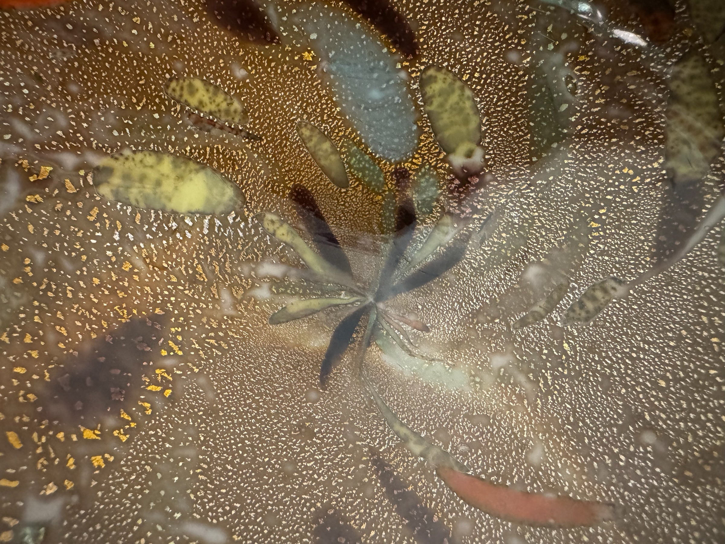 Murano art glass bowl with amethyst edge, gold flecks, and colorful glass inclusions.