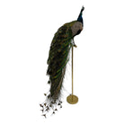 Vintage
vibrant
taxidermy
Sculpture
sculptural
Plumes
peacock taxidermy
peacock
mounted
male
living room
Large art
iridescence
Home
feathers
decorative
charming
Brass
Boho
bohemian
blue and green
Blue
birds
bird
Art