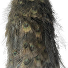 taxidermy
Plumes
peacock
living room
life size
Large art
Home
female
feathers
Brass
birds
bird
Art
mounted
Sculpture
sculptural
bohemian
Boho
feminine
peacock taxidermy
Texas
Green
gray