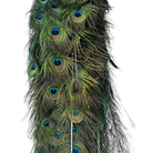 Vintage
vibrant
taxidermy
Sculpture
sculptural
Plumes
peacock taxidermy
peacock
mounted
male
living room
Large art
iridescence
Home
feathers
decorative
charming
Brass
Boho
bohemian
blue and green
Blue
birds
bird
Art