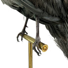 taxidermy
Plumes
peacock
living room
life size
Large art
Home
female
feathers
Brass
birds
bird
Art
mounted
Sculpture
sculptural
bohemian
Boho
feminine
peacock taxidermy
Texas
Green
gray