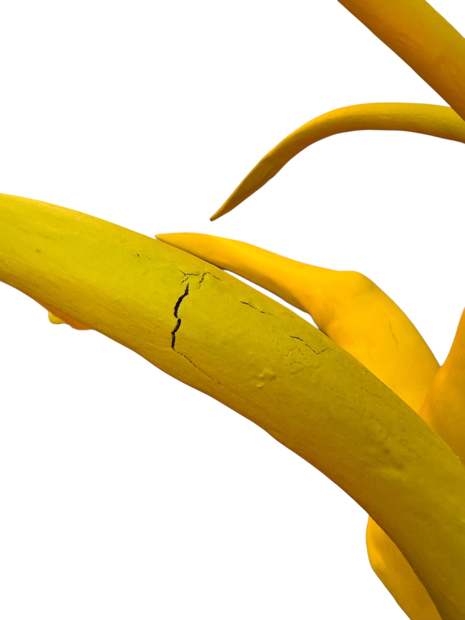 A bright yellow abstract sculpture depicting a calamari with a thick base and several thin, curving, branch-like extensions.