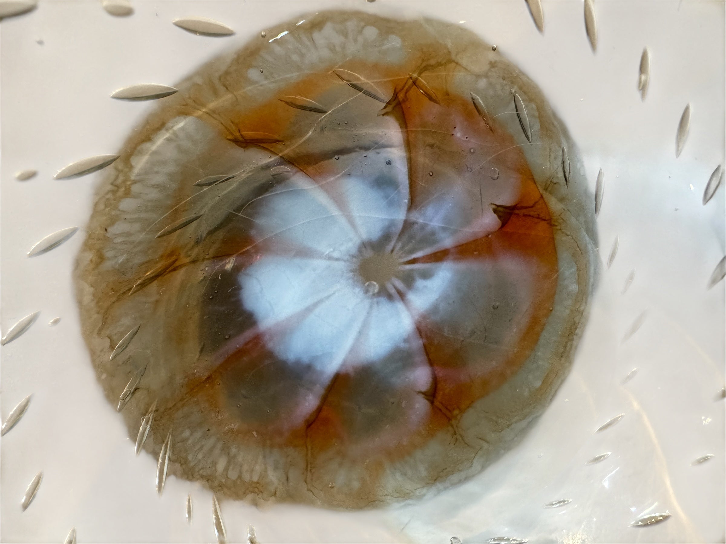 vintage ashtray austin
vintage ashtray
Table Top
Murano Millefiori Glass Dish
Murano Glass Ashtray
murano catch all
murano bowl austin
murano bowl
murano austin
murano ashtray
Murano
Millefiori Bullicante style
Italian glass
italian
Hand-blown Murano Glass Ashtray – Organic Modernism
Hand-blown Murano Glass Ashtray
art glass vintage austin