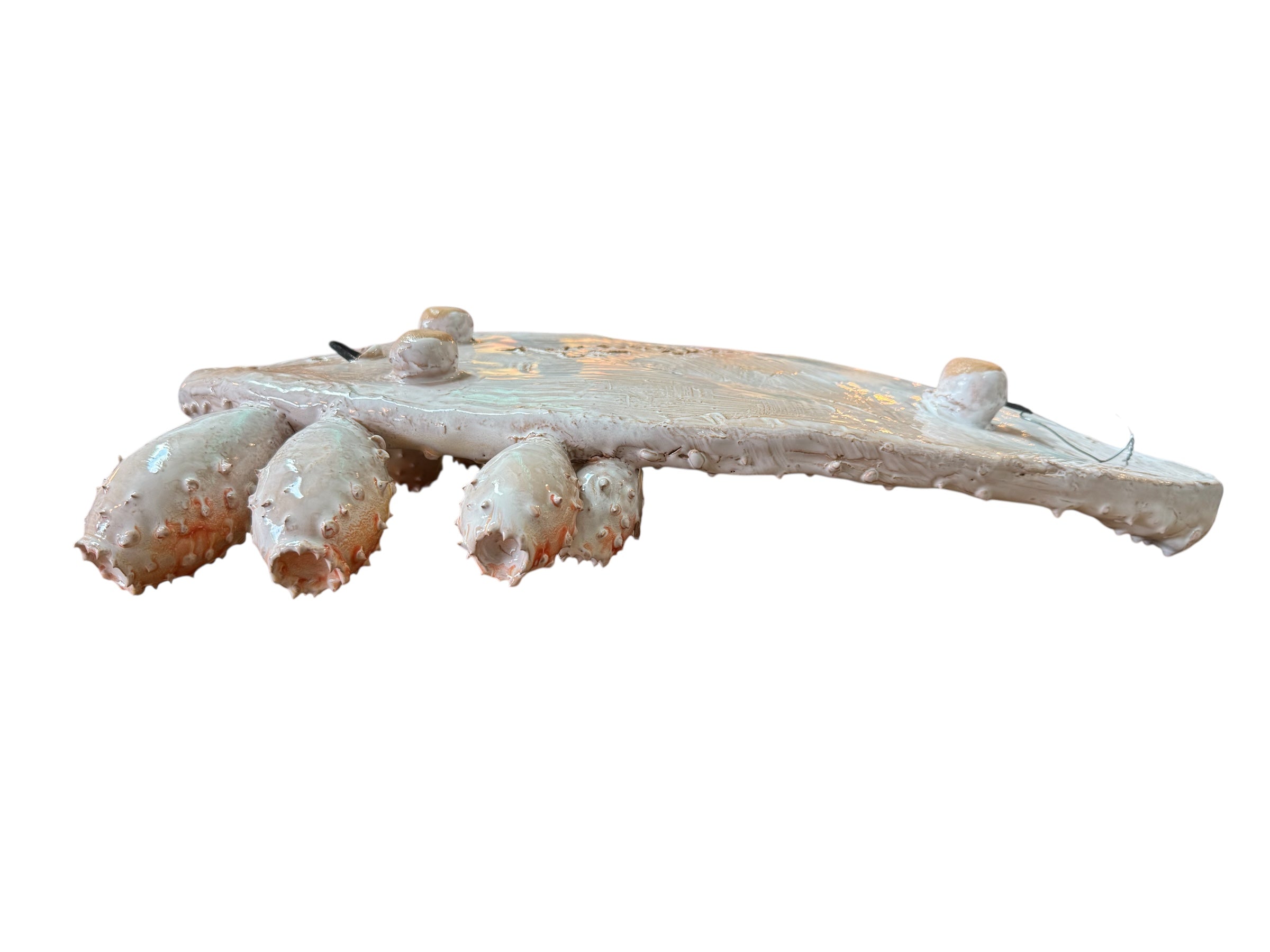 A white and orange, glazed ceramic platter in the shape of a prickly pear cactus pad with attached prickly pear fruit. The surface has raised dots representing spines.