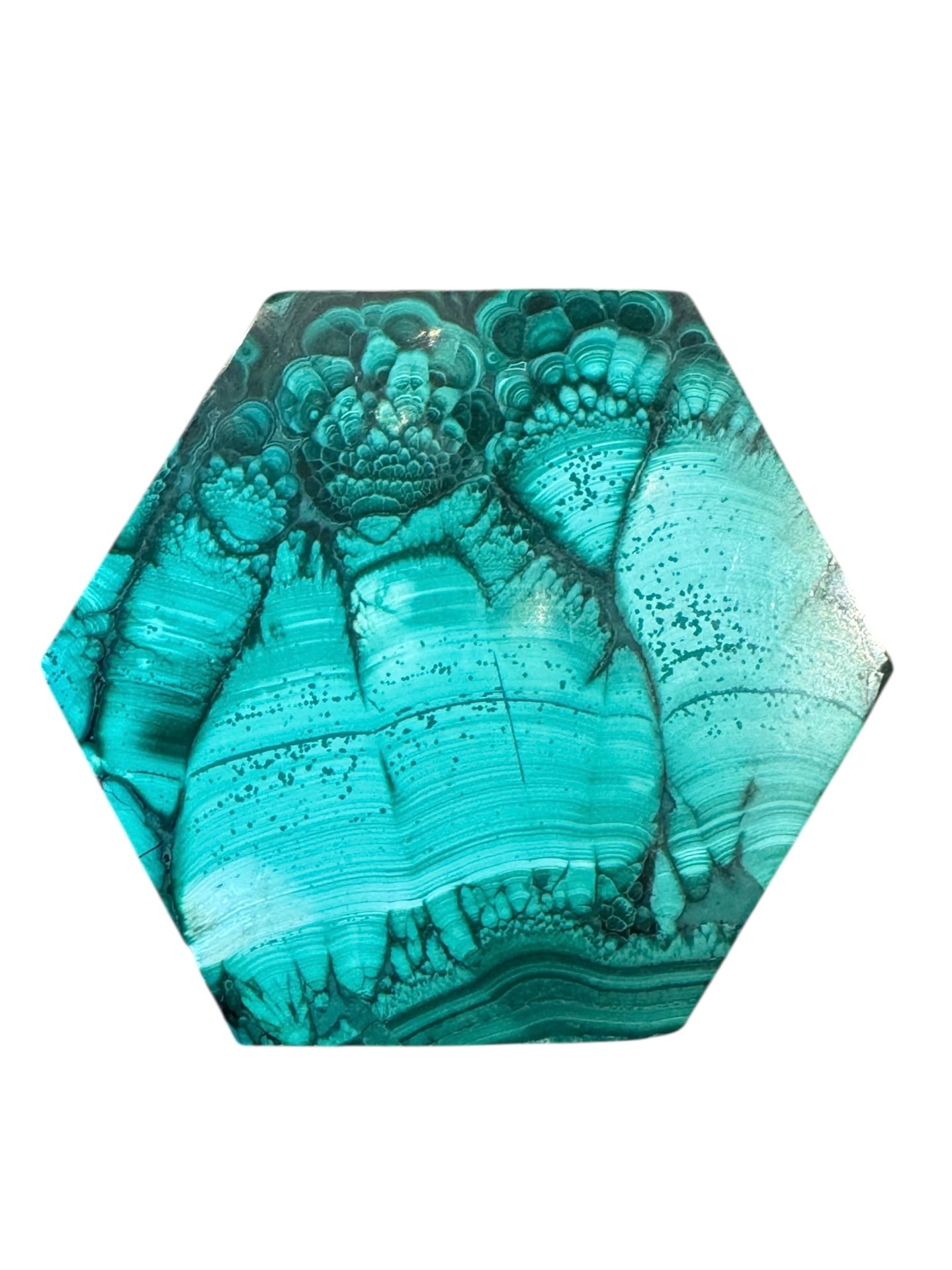 Malachite
Box
Hexagonal
Copper
Stone
Vintage
Decorative
Design
Green
Unique
Geometric
Striated
ByCloudia
Malachite box
Hexagonal box
Copper trim
Design object
Stone box
Unique design
Decorative box
Vintage box
Geometric box
