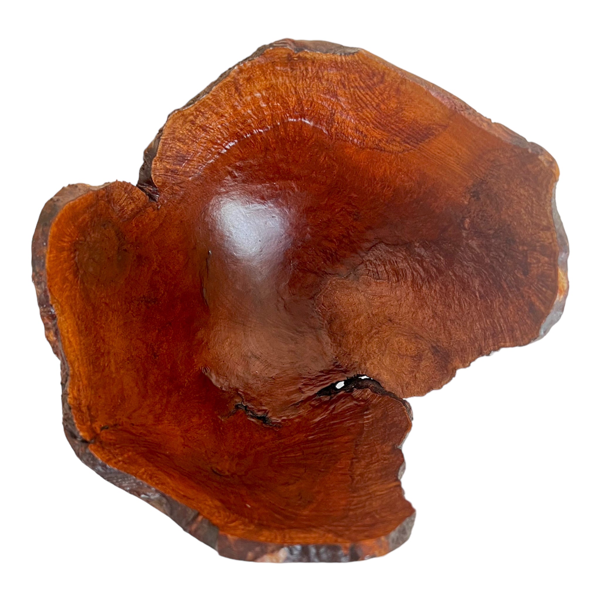 Wood
Table Top
serving bowl
organic
Kitchen
Home
gift idea
D.B. Pulley
burl wood
bowl
1980s
manzanita
Artisan
oregon