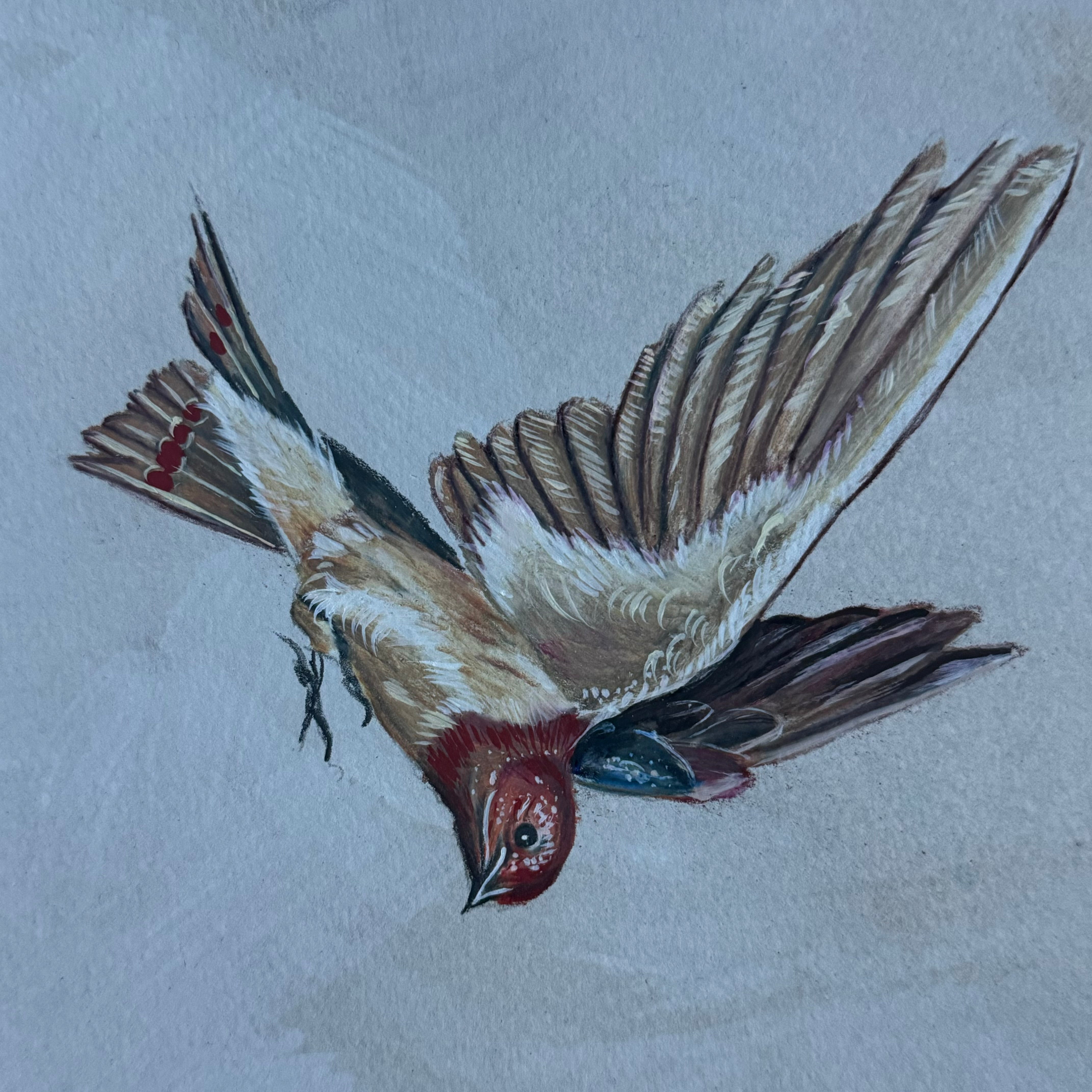 wall art
portrait
Mixed media
hands
Frida Kahlo
framed
black and white
bird
Art
antlers
Alekos
Portrait of Frida Kahlo a painting by Alekos
Portrait of Frida Kahlo
a painting by Alekos
Painting