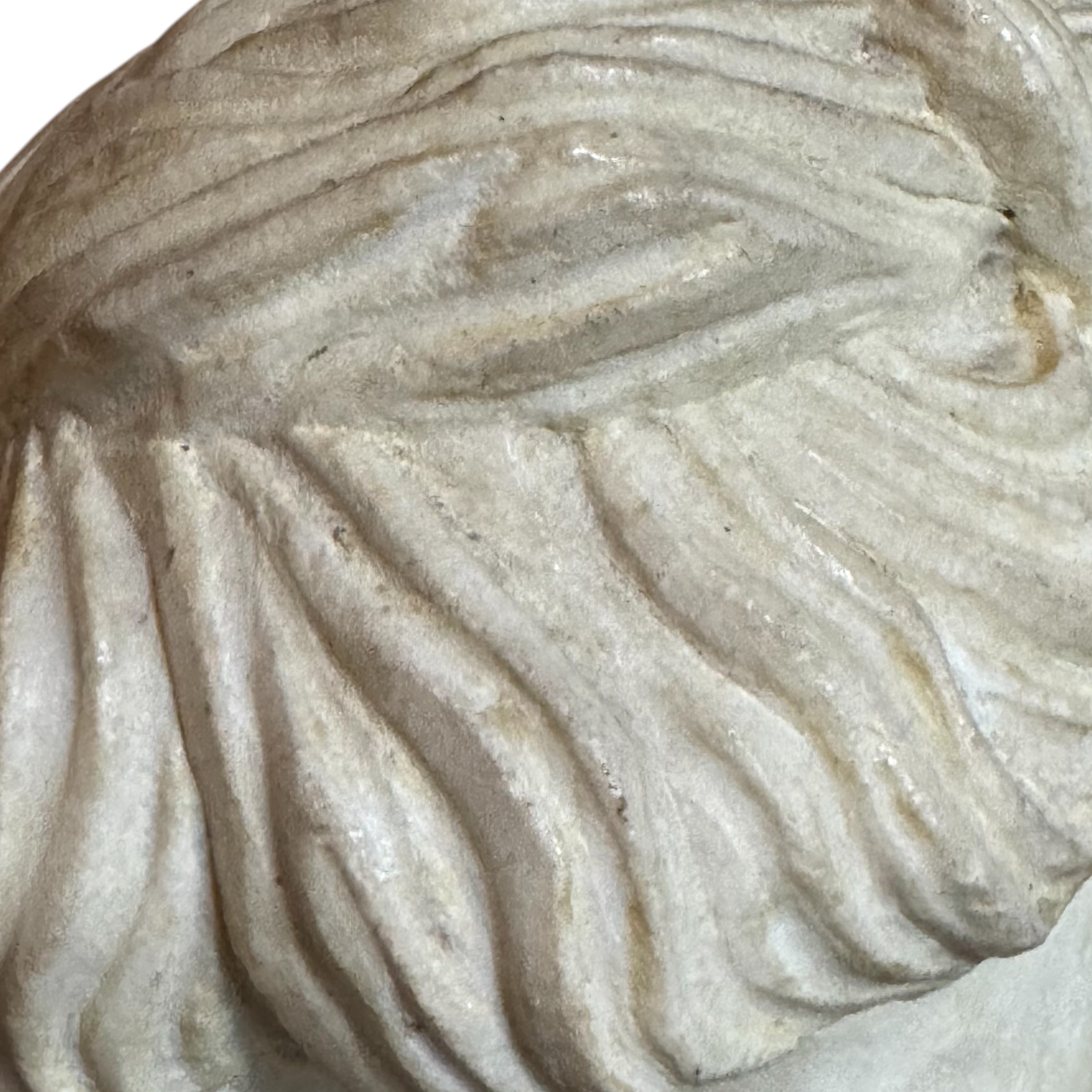 stand
Sculpture
sculptural
roman
portraiture
Neoclassical
marble
iron stand
iron
face
classical
carved
bust
antiquity
An Enigma in Marble: A Roman-Style Bust
A Roman-Style Bust
Marble Roman-Style Bust
face sculpture
marble bust
Roman portraiture