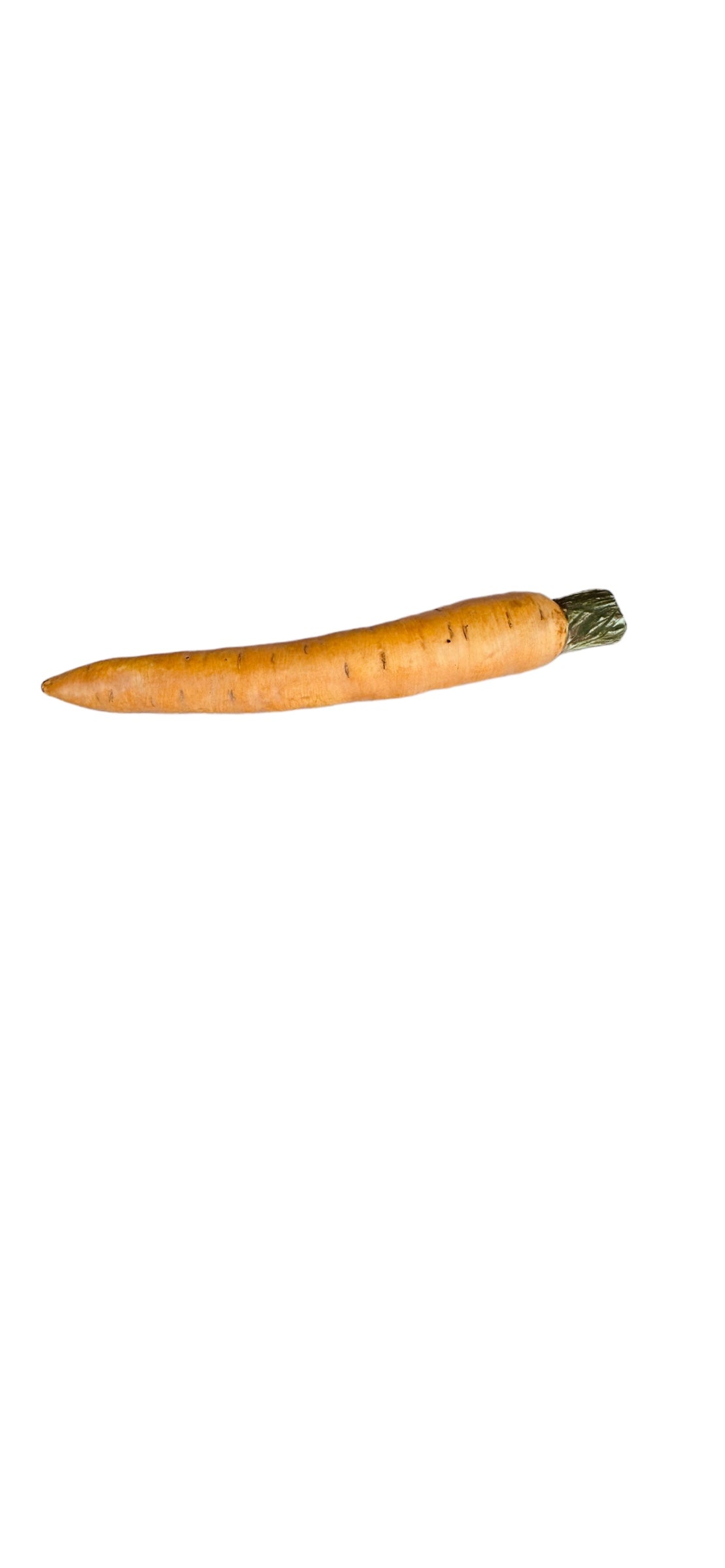 A realistic Mary Kirk Kelly ceramic carrot with a golden yellow body and a green top