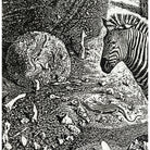 zebra
William Kelly Fearing
wall art
print
home
etching
black and white
artist proof
Art for All
art
animals
1990s
Art
art under 1000
framed
safari
american