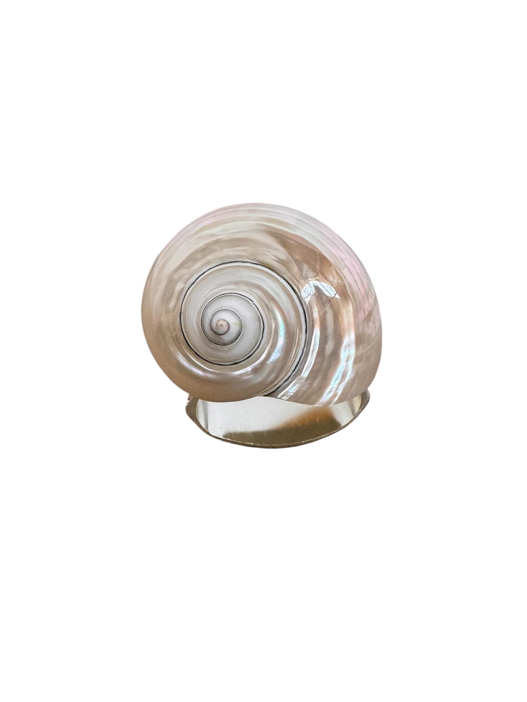 Hans Turnwald, 1980s, 1990s, napkin rings, silver ring, dinner party decoration, Hollywood regency, Turnwald Collection, High-end diningware, Coastal, Pearlized hermit shell