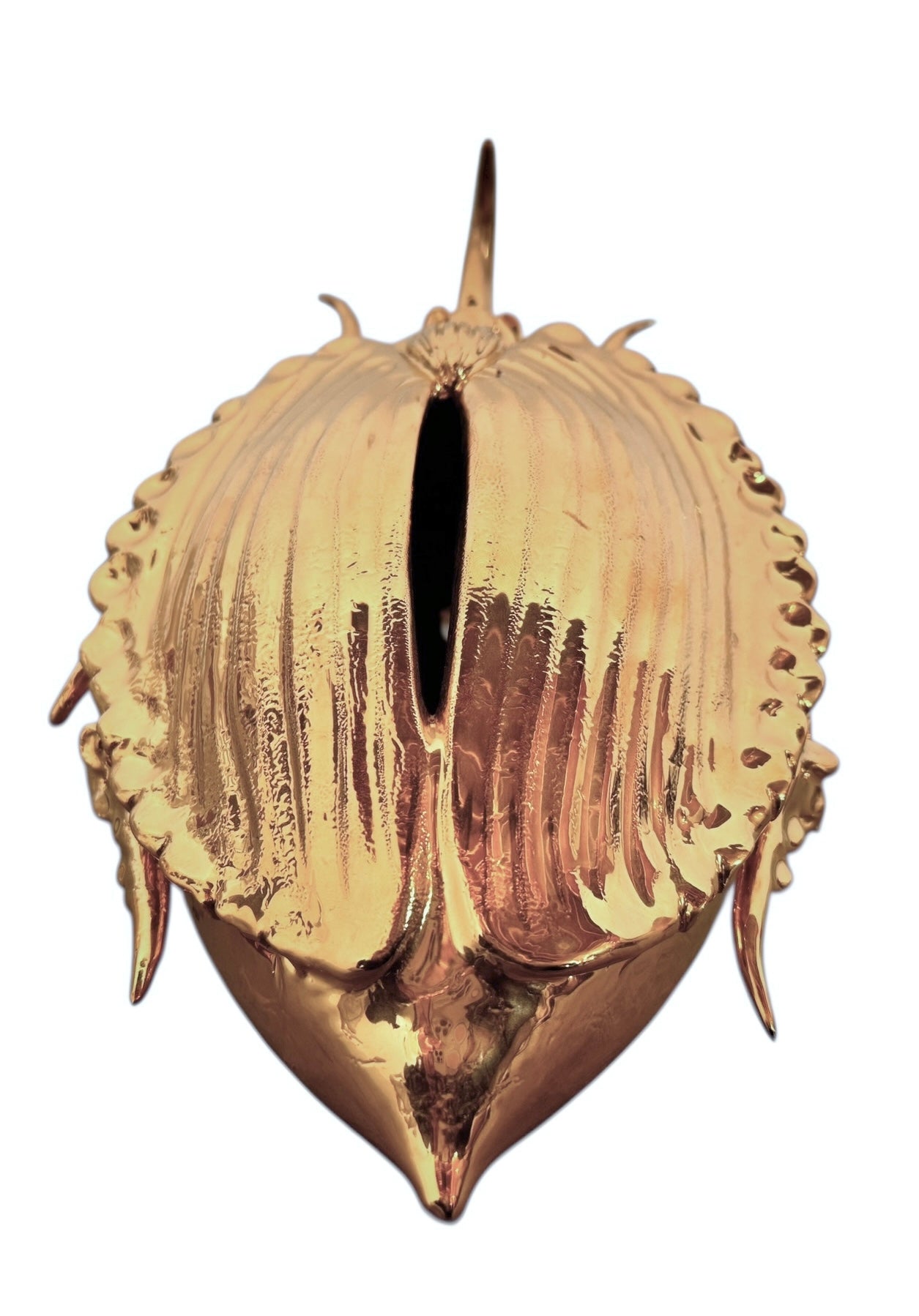 A handcrafted ceramic sculpture of a rhinoceros beetle by Enza Fasano, featuring a brilliant, high-gloss gold metallic finish. The beetle is captured in a dynamic, slightly upturned pose with detailed textures on its ribbed shell and prominent, curved horns. The piece reflects light across its polished surface, showcasing the artist’s signature fusion of traditional Pugliese pottery and contemporary luxury.