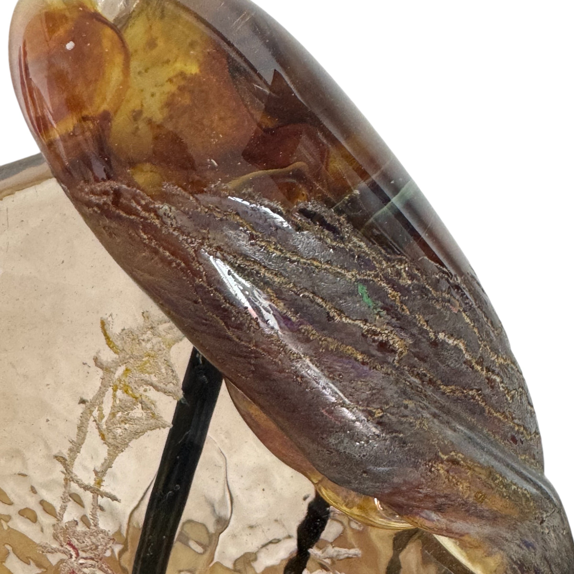 Sculpture
sculptural
organic
New Orleans
Louisiana
hand formed
Glass
Gene Koss
etched
Art
1990s
b.1947
"Ridge Climb" by Gene Koss
"Ridge Climb" scuplture
Gene Koss glass sculpture
organic glass sculpture
Incised with signature and date
American glass art
glass sculpture