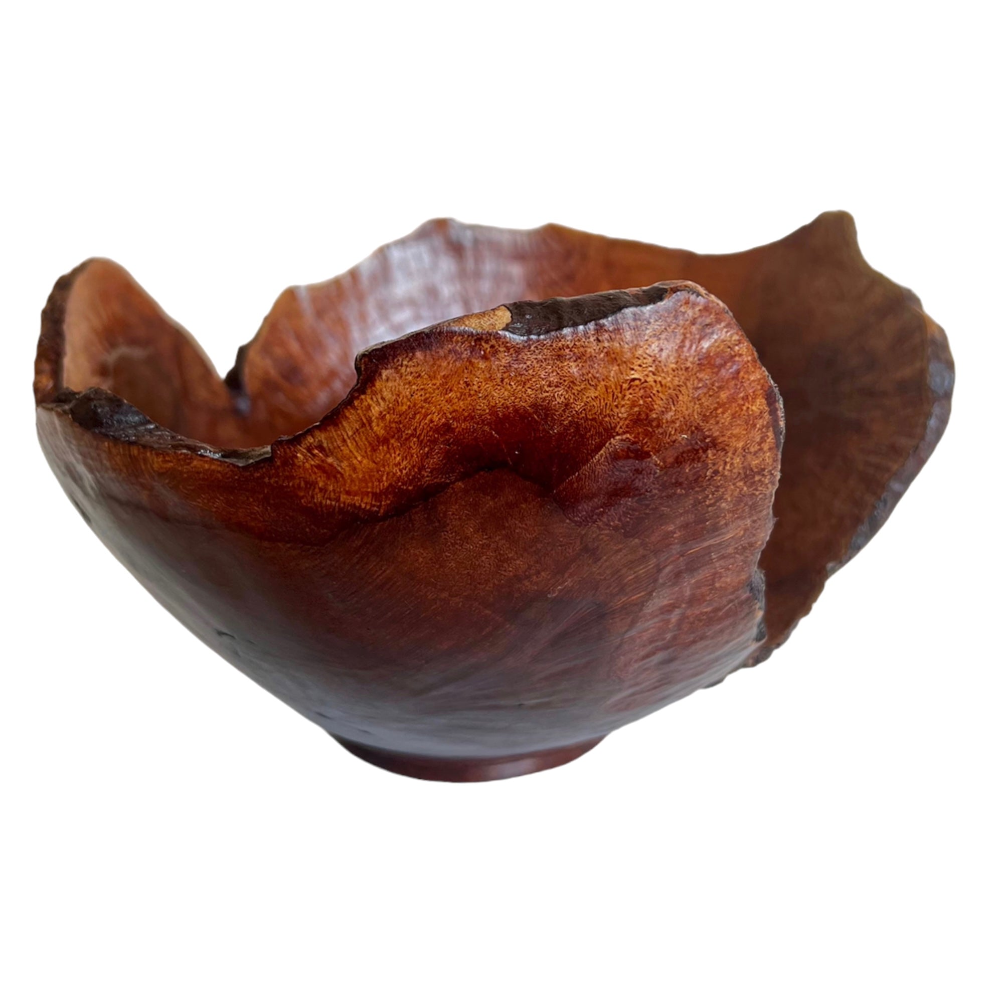 Wood
Table Top
serving bowl
organic
Kitchen
Home
gift idea
D.B. Pulley
burl wood
bowl
1980s
manzanita
Artisan
oregon