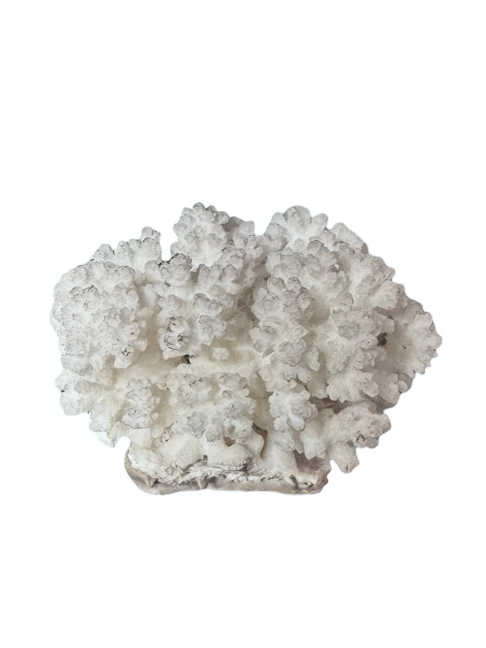 A small, delicate white coral sculpture with a cluster of short, upright branches. The structure is asymmetrical and intricate, featuring a porous, sponge-like surface texture and a jagged, irregular base.