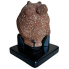 Ancient African terracotta head
African terracotta sculpture
200 BC to 900 AD African artifact
Prehistoric African ceramic art
Authentic African antiquity
West African terracotta figure
Tribal African head sculpture
Ancient African art for sale
African archaeological artifact
Early African civilization art