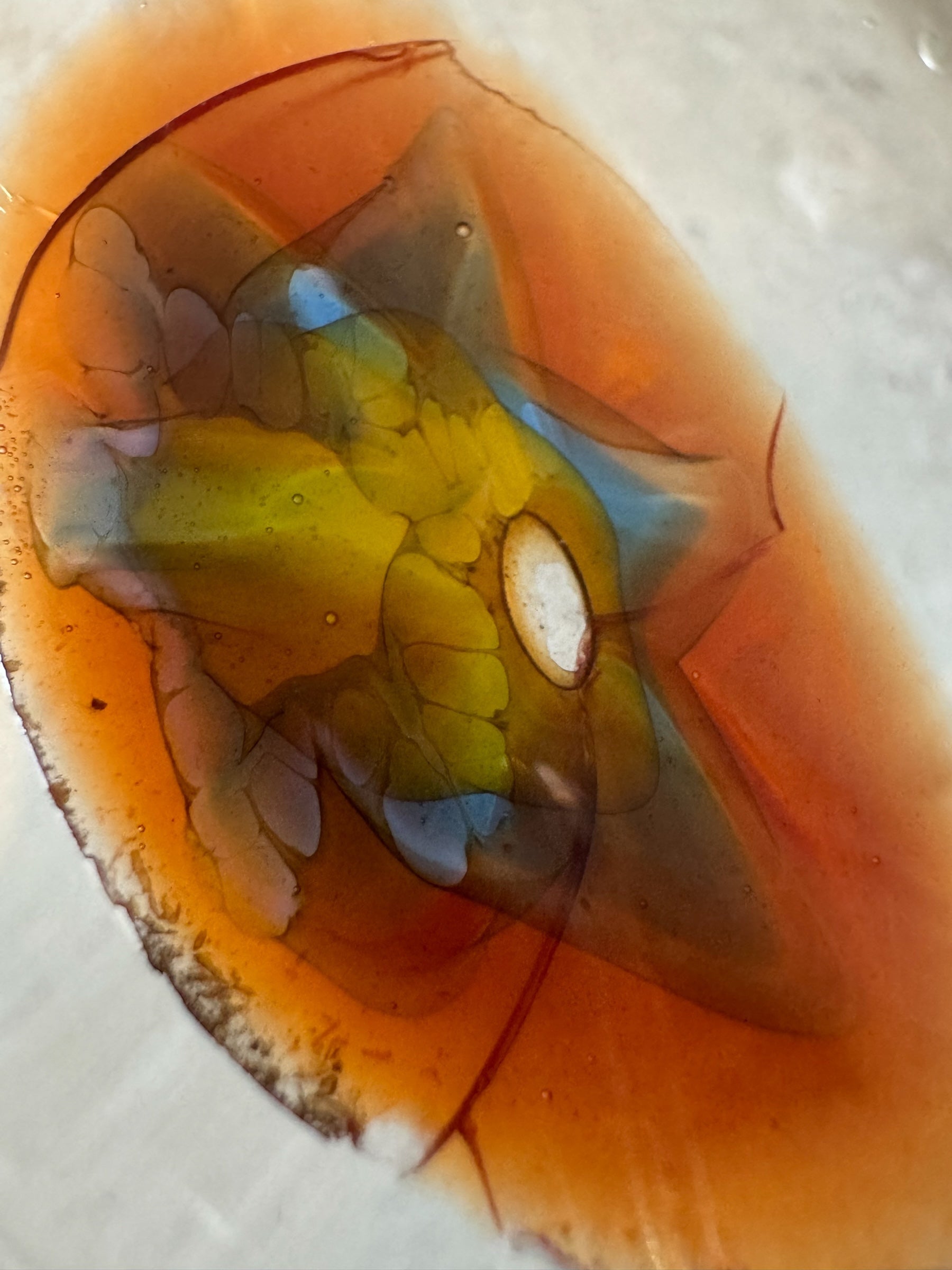 vintage ashtray austin
vintage ashtray
Table Top
Murano Millefiori Glass Dish
Murano Glass Ashtray
murano catch all
murano bowl austin
murano bowl
murano austin
murano ashtray
Murano
Millefiori Bullicante style
Italian glass
italian
Hand-blown Murano Glass Ashtray – Organic Modernism
Hand-blown Murano Glass Ashtray
art glass vintage austin