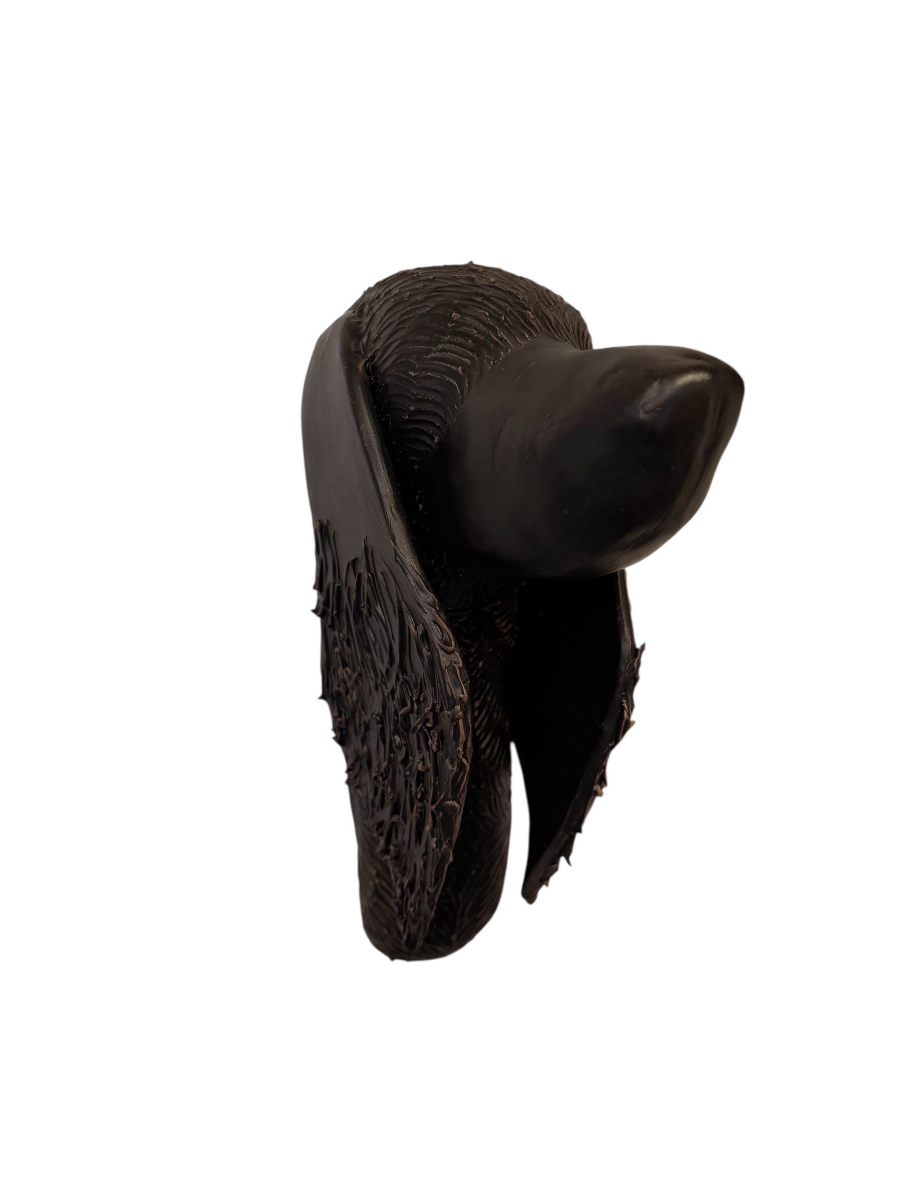 A dark, chocolate-brown ceramic sculpture by Enza Fasano depicting the stylized head of a hunting dog, such as a pointer or hound. The piece features a smooth, elongated snout and large, floppy ears with a textured, feathery finish that contrasts with the sleek crown of the head. The minimalist design emphasizes the dog's elegant profile and long neck.