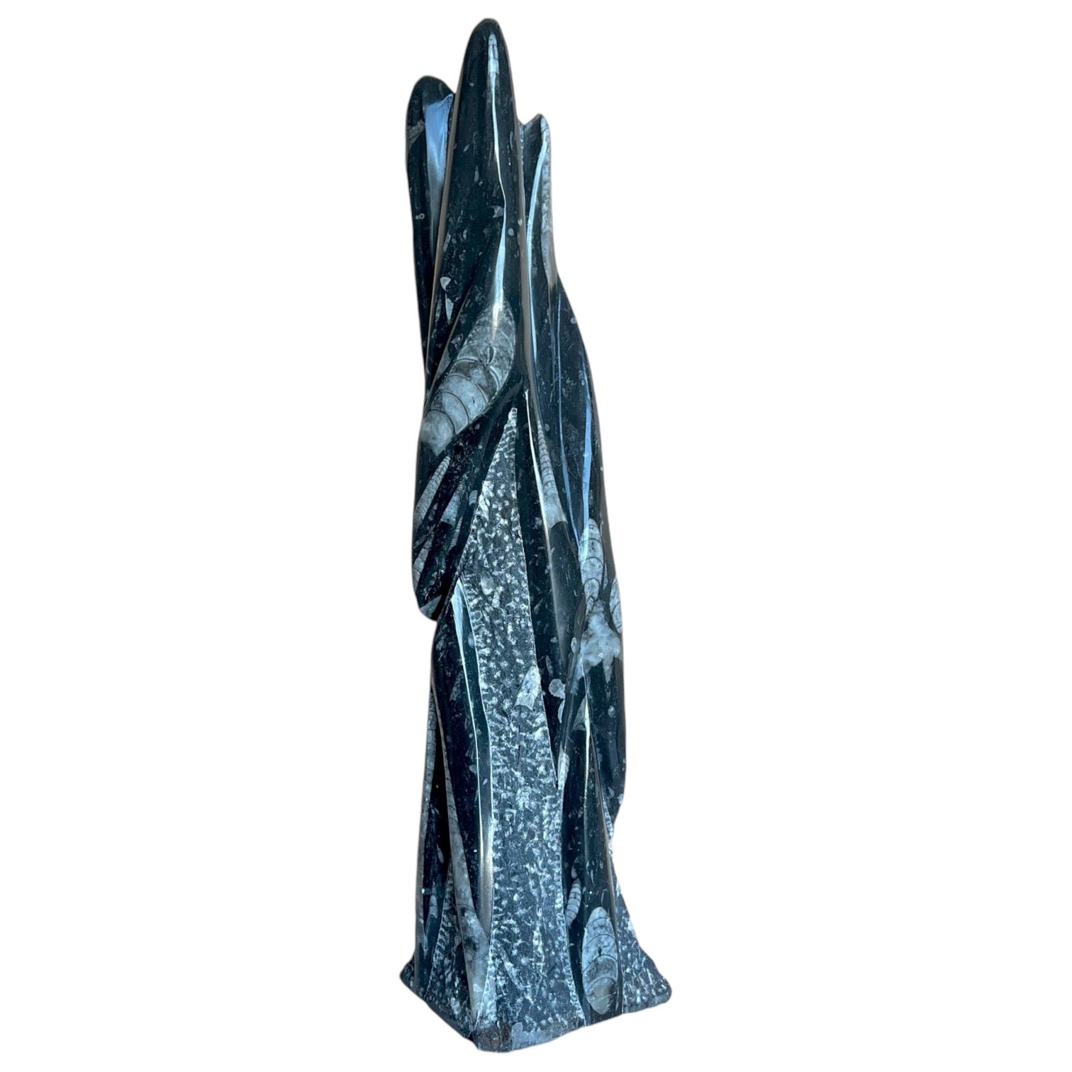 A polished sculpture of an orthoceras fossil, featuring a black and white color scheme, standing in a vertical position.