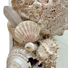 Vintage Grotto shell mirror
Grotto style mirror
Antique shell mirror
Shell-encrusted wall mirror
Coastal vintage decor
Nautical mirror with shells
Handmade vintage seashell mirror
Grotto mirror for sale
Shell mirror vintage wall decor
Vintage coastal wall mirror