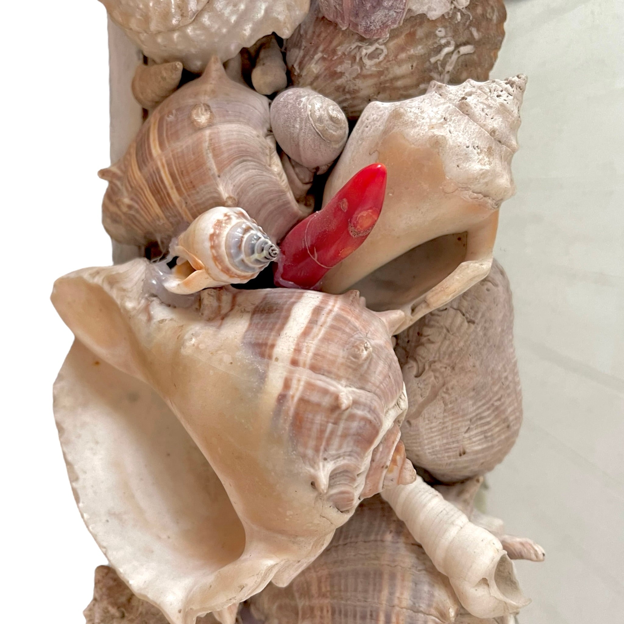 Vintage Grotto shell mirror
Grotto style mirror
Antique shell mirror
Shell-encrusted wall mirror
Coastal vintage decor
Nautical mirror with shells
Handmade vintage seashell mirror
Grotto mirror for sale
Shell mirror vintage wall decor
Vintage coastal wall mirror