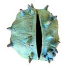 Spooky
Sculpture
Rick Van Dyke
Pottery
Local artist
Local
lizards
Home
entertaining
Colorful
Ceramic
blue and green
austin artist
Art for All
Art
art under 1000
textured
outdoor