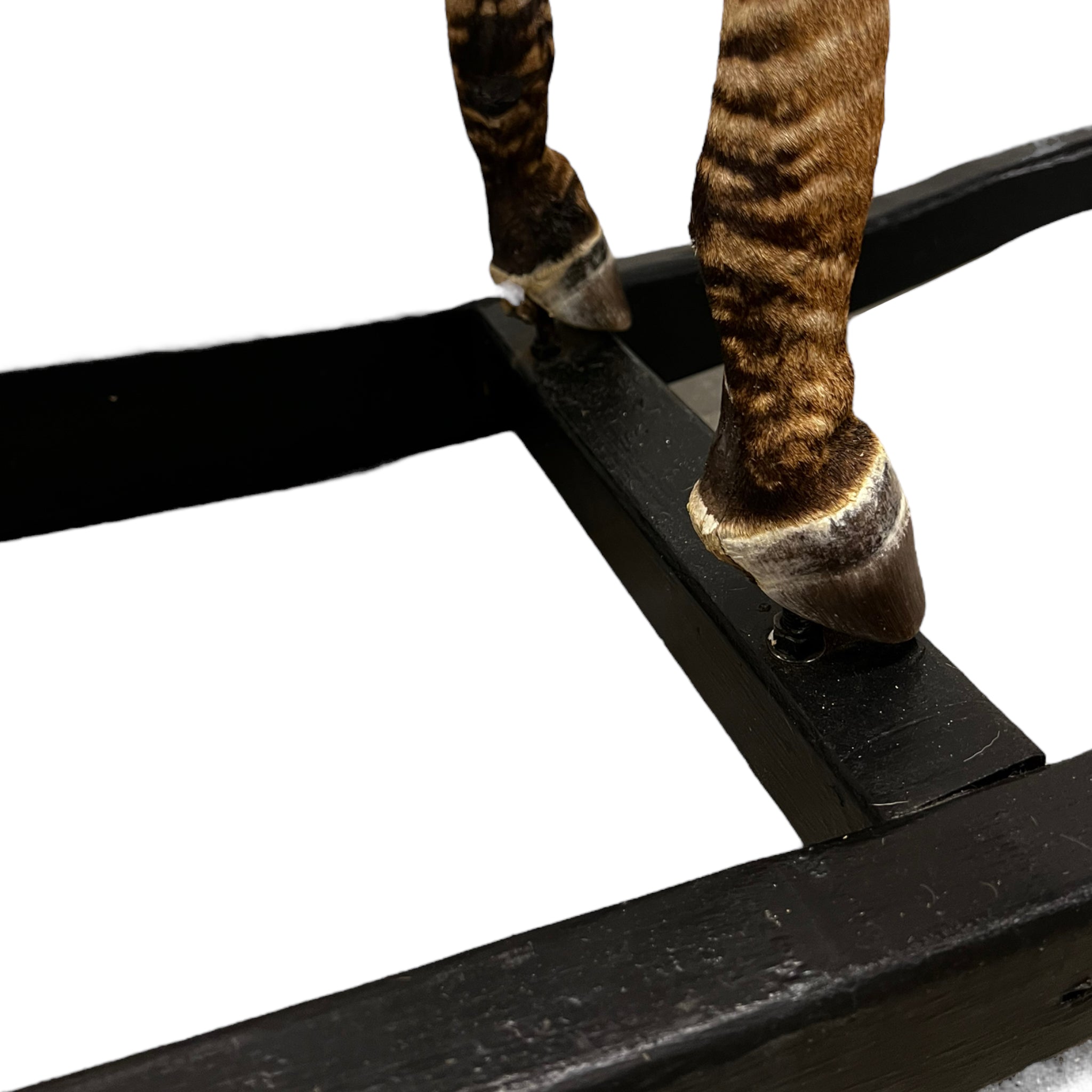 Zebra
zebra taxidermy austin
zebra austin
taxidermy austin
wooden rocker
taxidermy
Sculpture
rocking horse
religious
London
Large art
jeweled
crown
Charolotte
Art
Andre Robolobavich
skirt
adorned
striped
brown
life size
wildlife
safari
ethical
exotic
zebra taxidermy