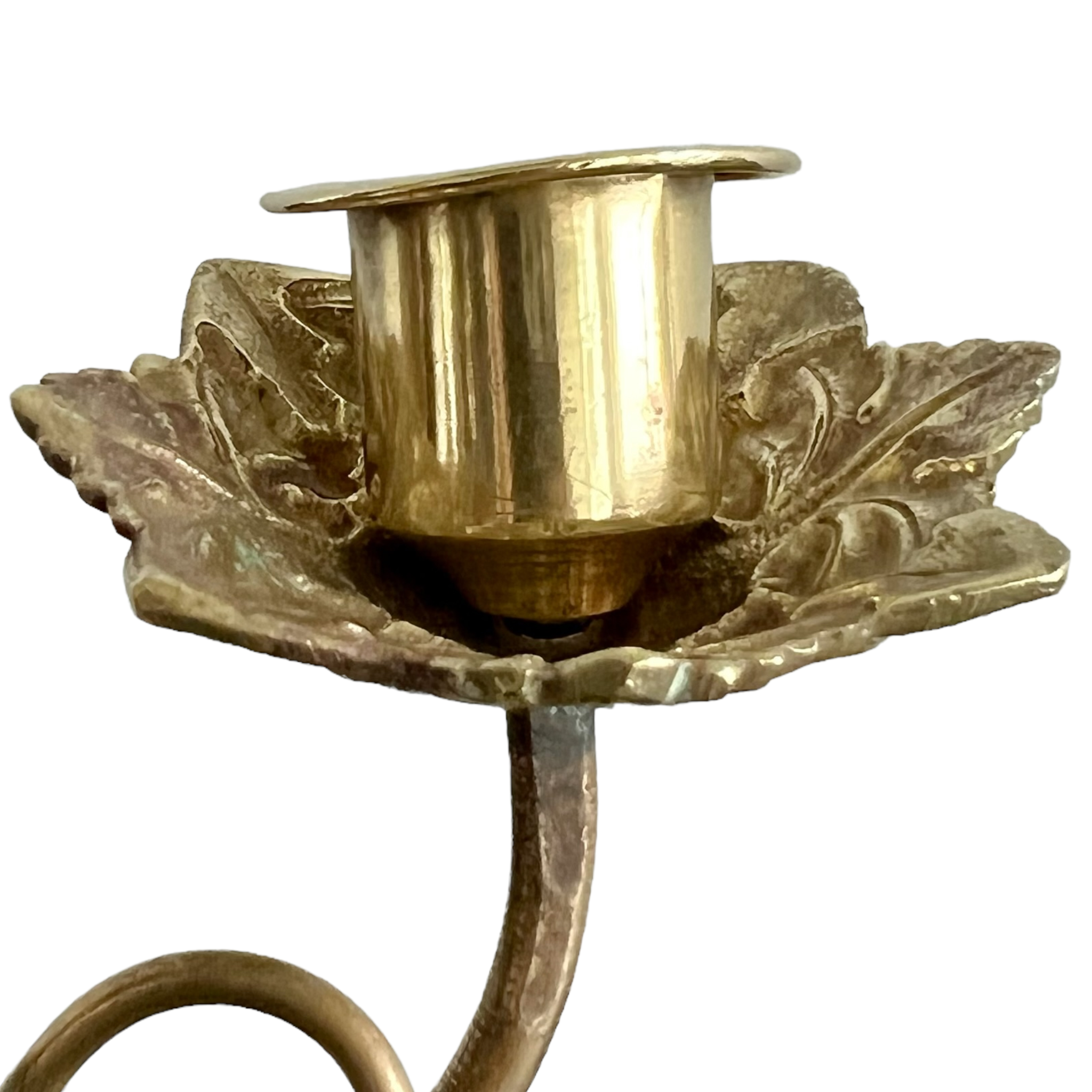 wheat
Table Top
Spooky
religious
Provincial
ornate
metallic
Home
grapes
gift idea
French
entertaining
cross
Copper
centerpiece
candleholder
candelabra
Brass
antique
altar
19th century