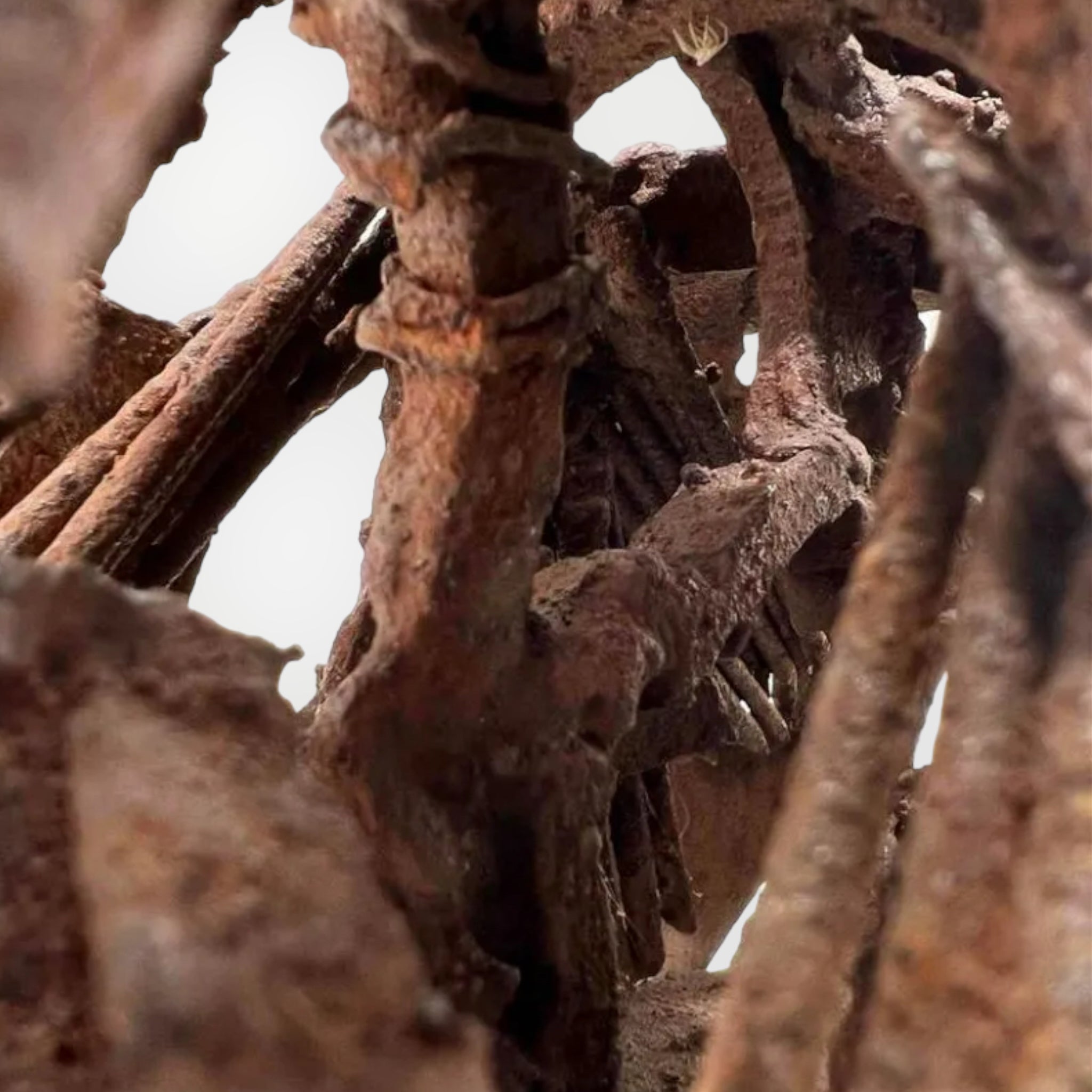 welded
Steel
Spooky
Sculpture
patina
original art
original
Nina Scott Hansen
modern
metal
Horse
home
gift idea
Contemporary
Brutalist
Art
Animals