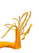 A bright yellow abstract sculpture depicting a calamari with a thick base and several thin, curving, branch-like extensions.
