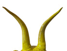 Yellow ceramic sculpture titled 'The Ram Oracle' by Enza Fasano, featuring a round body with intricate, hand-incised patterns and long, stylized ram-like horns