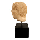 An ancient marble sculpted head of a young man, presented on a modern black presentation stand. The sculpture is rendered in a three-quarter view, angled slightly to the right, showing a classical profile characterized by a strong nose, softly contoured cheekbones, and slightly parted lips that convey a quiet, contemplative expression. The hair is carved in short, stylized strands that frame the forehead and ears, characteristic of ancient Roman or Greek portraiture styles.