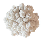 A dense, mounded white coral sculpture with a heavy, cauliflower-style growth pattern. The lobes are closely bunched together, covered in tiny, uniform bumps that give the piece a fuzzy or frosted visual texture.