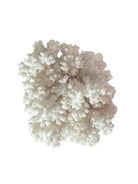 A small, delicate white coral sculpture with a cluster of short, upright branches. The structure is asymmetrical and intricate, featuring a porous, sponge-like surface texture and a jagged, irregular base.