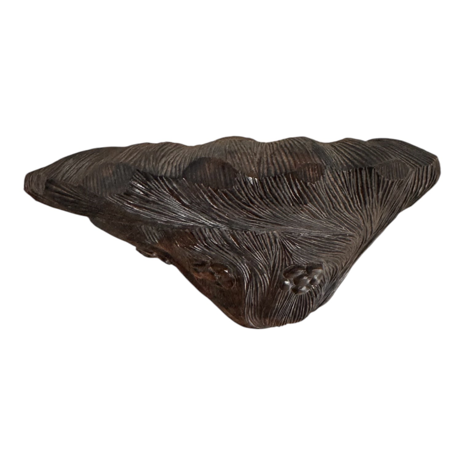 An elegant hand-carved bust of a woman made from rich, polished dark ebony wood with striking reddish-brown grain patterns running vertically through her face and chest. The sculpture features a serene expression with closed eyes, a slender nose, and relaxed lips. Her voluminous, textured hair rises upward in a Fan-like shape, intricately carved with fine lines and adorned with small, delicate flower details. The bust includes her bare shoulders and upper chest, resting on a flat base.