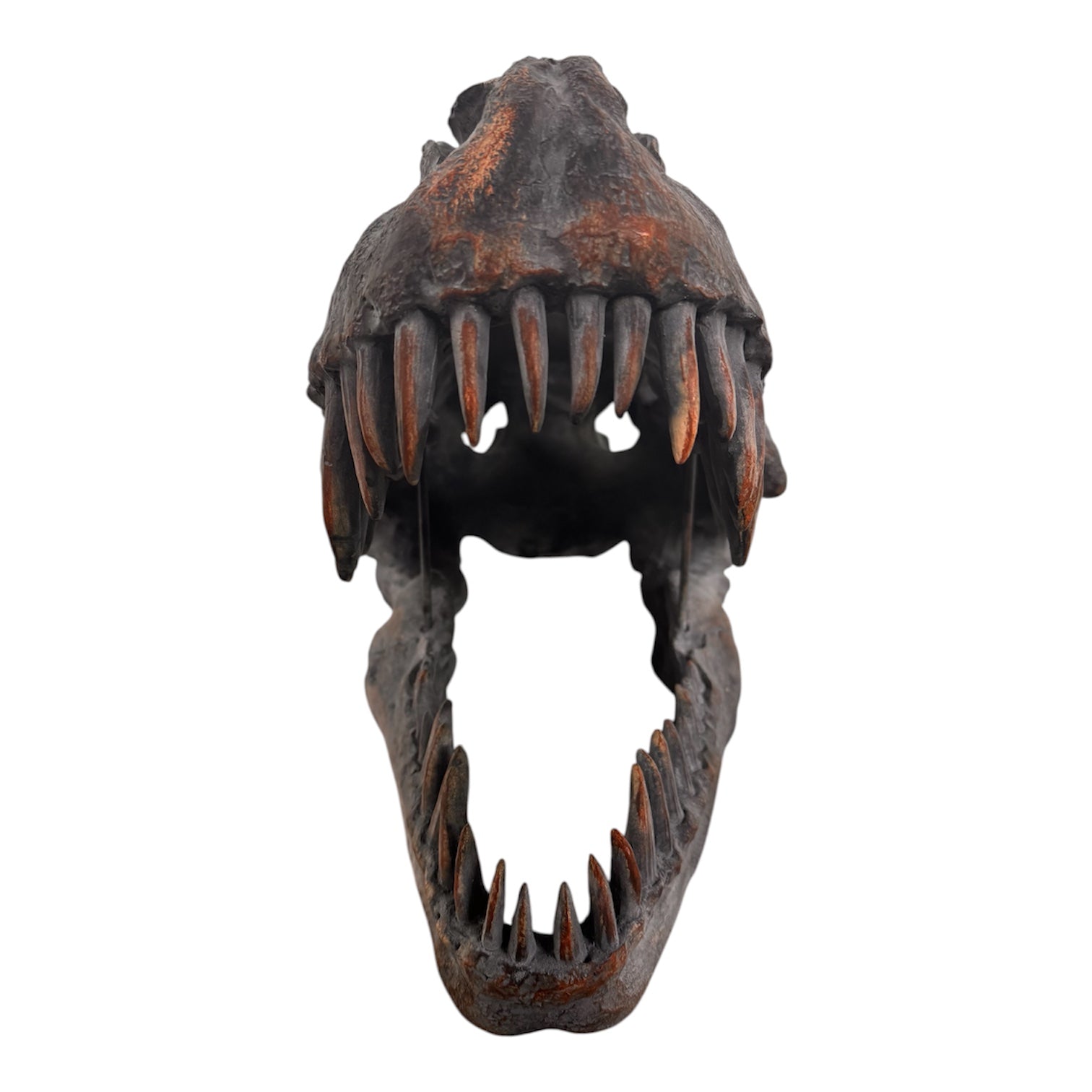 a pair of matching Tyrannosaurus Rex skull sculptures facing inward toward each other against a solid white background. The resin or stone-like replicas are realistically detailed with a weathered, dark gray and brownish-rust finish. Both skulls are sculpted with their jaws wide open, showcasing rows of sharp, pointed teeth with stained orange and brown tips. The skull on the left is angled slightly to the right, and the skull on the right is angled slightly to the left, creating a symmetrical presentation.